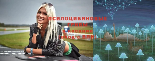 таблы Армянск