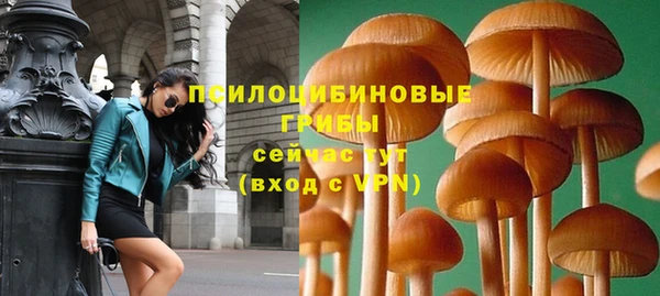 таблы Армянск